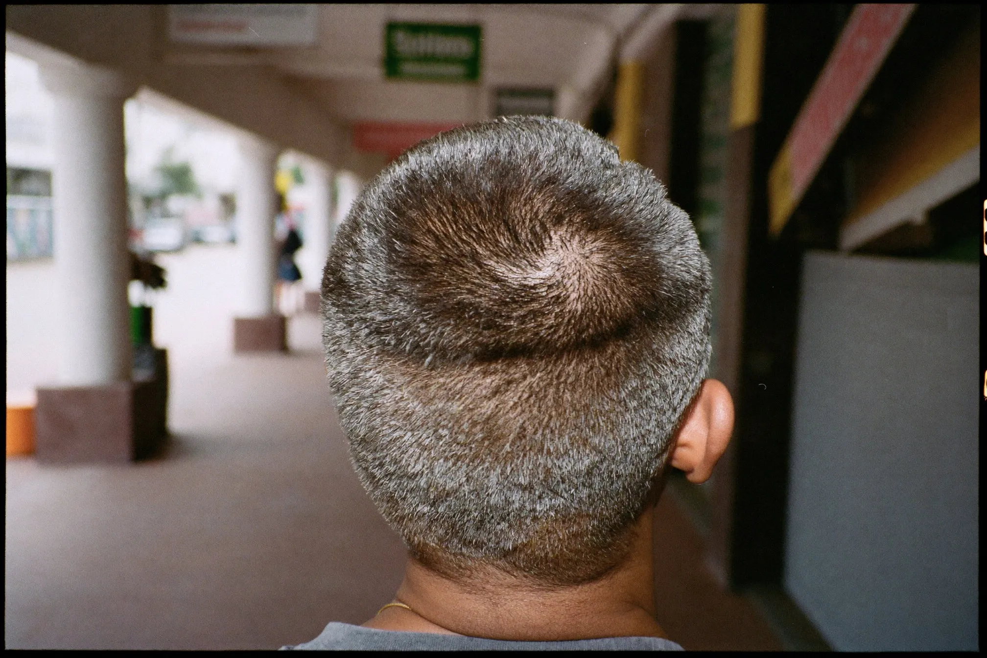 Back of a man's head in daylight showing ash brown hair with dark regrowth at the roots